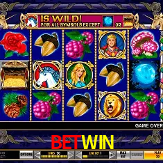 BETWIN Rio de Janeiro - Professional Dealers